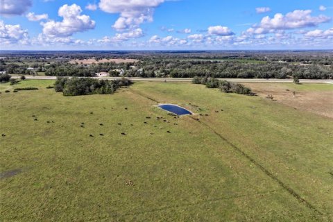 Terreno en venta en Arcadia, Florida № 1536443 - foto 19