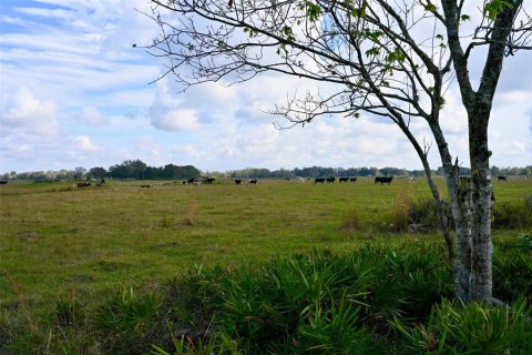 Terreno en venta en Arcadia, Florida № 1536443 - foto 23