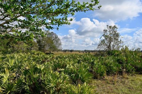 Terreno en venta en Arcadia, Florida № 1536443 - foto 14