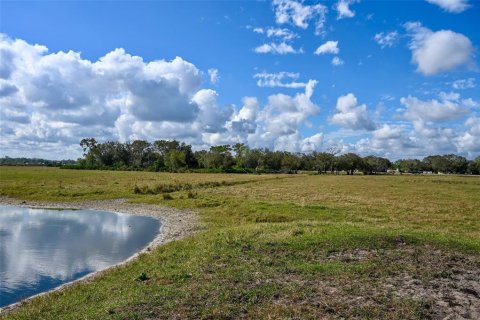 Terreno en venta en Arcadia, Florida № 1536443 - foto 8