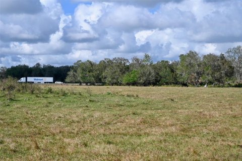 Terreno en venta en Arcadia, Florida № 1536443 - foto 9