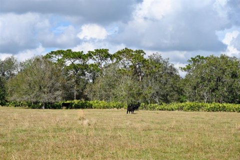 Terreno en venta en Arcadia, Florida № 1536443 - foto 11