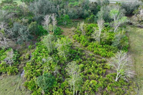 Terreno en venta en Arcadia, Florida № 1536443 - foto 15