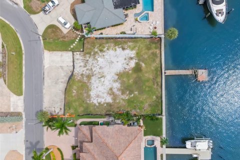 Land in Saint Petersburg, Florida № 1917799 - photo 7