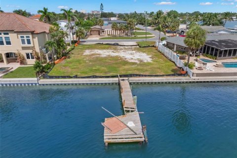Land in Saint Petersburg, Florida № 1917799 - photo 8