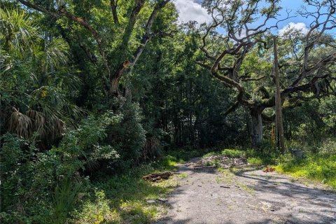 Land in New Port Richey, Florida № 2213110 - photo 2