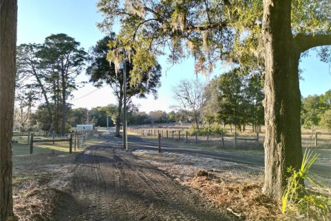Land in Dunnellon, Florida № 1566098 - photo 11