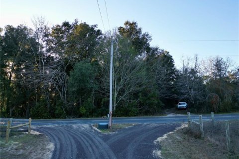 Land in Dunnellon, Florida № 1566098 - photo 22