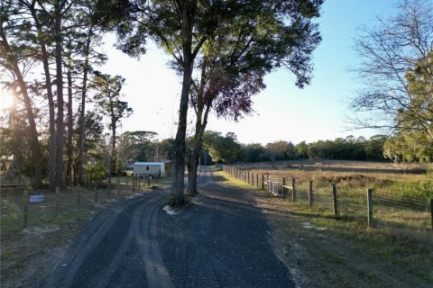Land in Dunnellon, Florida № 1566098 - photo 13