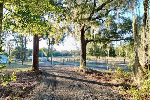 Land in Dunnellon, Florida № 1566098 - photo 9
