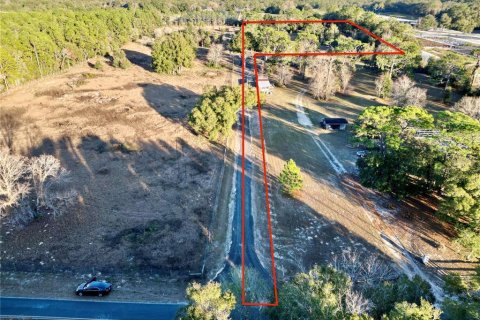 Land in Dunnellon, Florida № 1566098 - photo 5