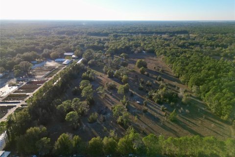 Land in Dunnellon, Florida № 1566098 - photo 7