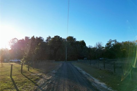 Land in Dunnellon, Florida № 1566098 - photo 20
