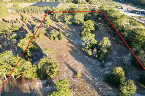 Land in Dunnellon, Florida № 1566098 - photo 2