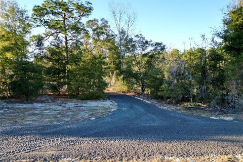 Land in Dunnellon, Florida № 1566098 - photo 8