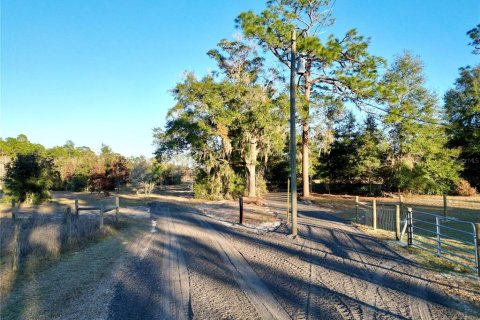 Land in Dunnellon, Florida № 1566098 - photo 15