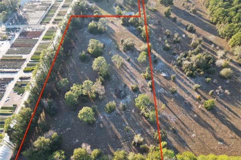 Land in Dunnellon, Florida № 1566098 - photo 3