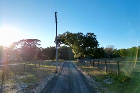 Land in Dunnellon, Florida № 1566098 - photo 18