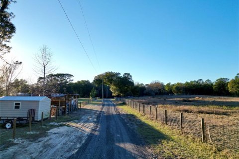 Land in Dunnellon, Florida № 1566098 - photo 17