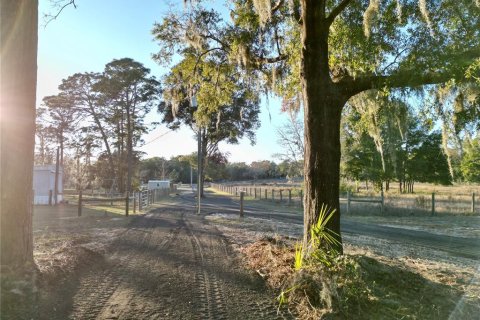 Land in Dunnellon, Florida № 1566098 - photo 10