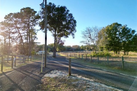 Land in Dunnellon, Florida № 1566098 - photo 12