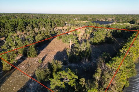 Land in Dunnellon, Florida № 1566098 - photo 6