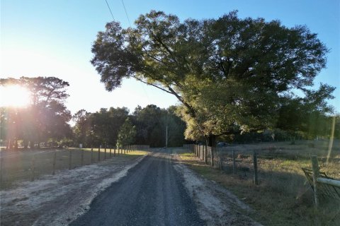 Land in Dunnellon, Florida № 1566098 - photo 19