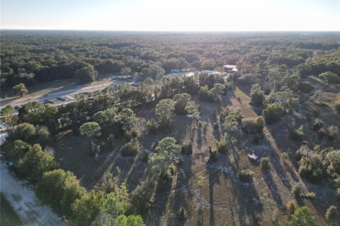 Land in Dunnellon, Florida № 1566098 - photo 4