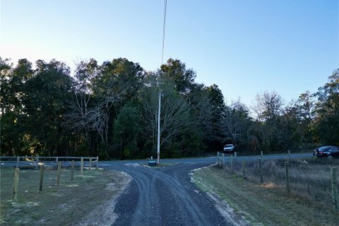 Land in Dunnellon, Florida № 1566098 - photo 21