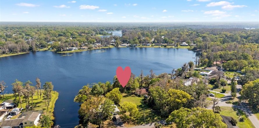 Land in Lutz, Florida № 2220190