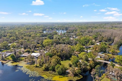 Land in Lutz, Florida № 2220190 - photo 6