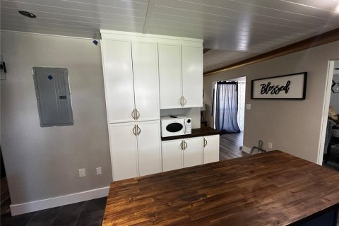House in Mount Dora, Florida 3 bedrooms, 158.12 sq.m. № 2342765 - photo 22