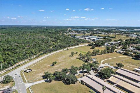 Land in Tavares, Florida № 1615730 - photo 9