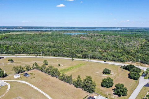 Land in Tavares, Florida № 1615730 - photo 10