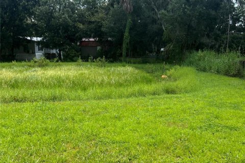 Купить земельный участок в Валрико, Флорида № 1900984 - фото 23