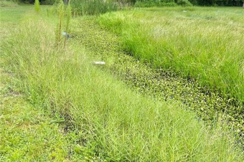 Купить земельный участок в Валрико, Флорида № 1900984 - фото 22