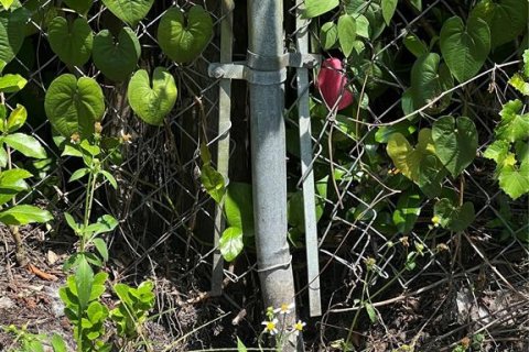 Купить земельный участок в Валрико, Флорида № 1900984 - фото 8