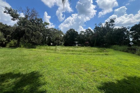 Купить земельный участок в Валрико, Флорида № 1900984 - фото 21