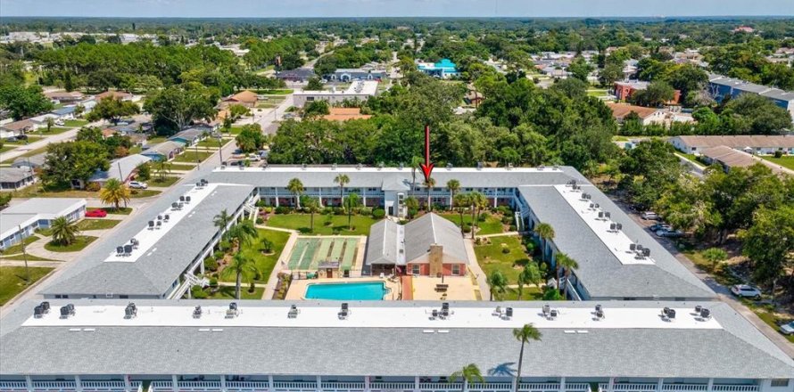 Condo à New Port Richey, Floride, 1 chambre № 1910326