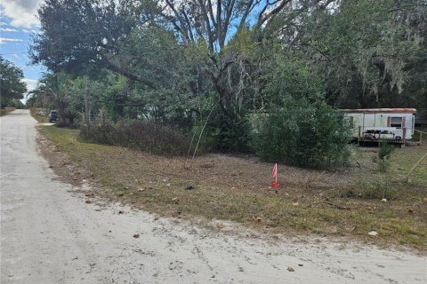 Land in Williston, Florida № 2159731 - photo 4