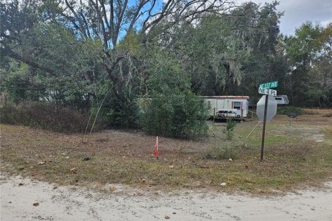Land in Williston, Florida № 2159731