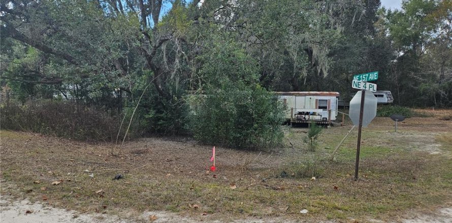 Land in Williston, Florida № 2159731