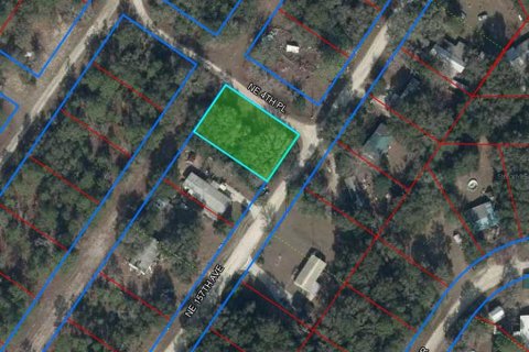 Land in Williston, Florida № 2159731 - photo 2