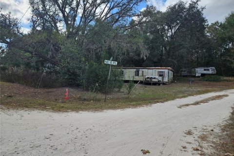 Land in Williston, Florida № 2159731 - photo 5