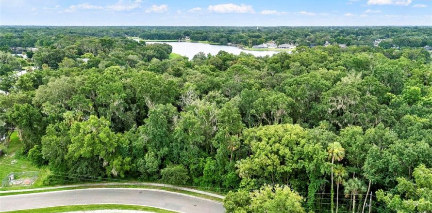 Terreno en Apopka, Florida № 1824463
