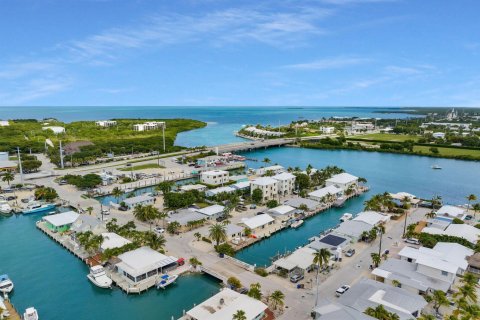 Villa ou maison à vendre à Marathon, Floride: 2 chambres, 83.61 m2 № 2082250 - photo 21