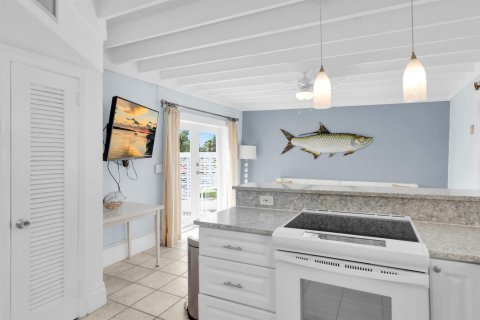 Villa ou maison à vendre à Marathon, Floride: 2 chambres, 83.61 m2 № 2082250 - photo 8