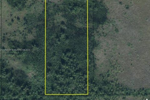 Купить коммерческую недвижимость в Хомстед, Флорида № 2037648 - фото 2