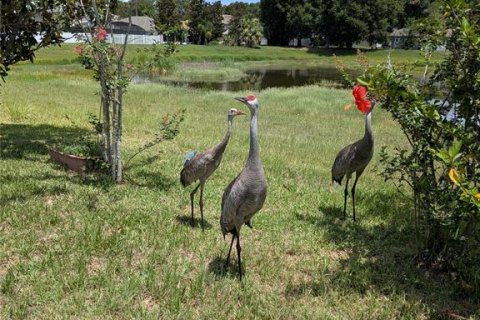 House in DeLand, Florida 3 bedrooms, 151.8 sq.m. № 1783212 - photo 18