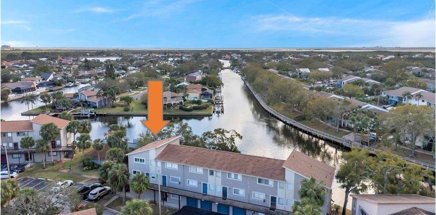 Condo in Tampa, Florida, 2 bedrooms № 1531958